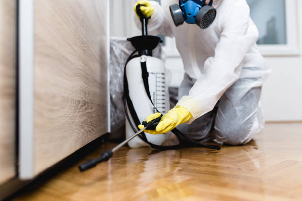 Best Pest Prevention Services  in Rosebud, SD
