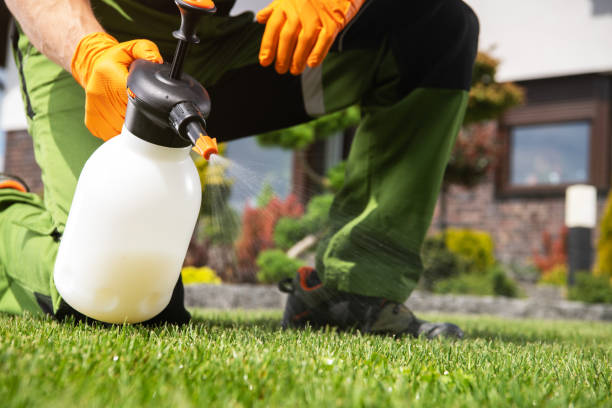 Professional Pest Control in Rosebud, SD