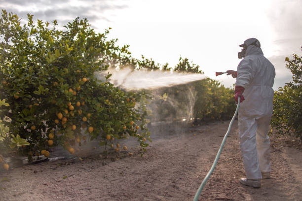 Best Residential Pest Control  in Rosebud, SD