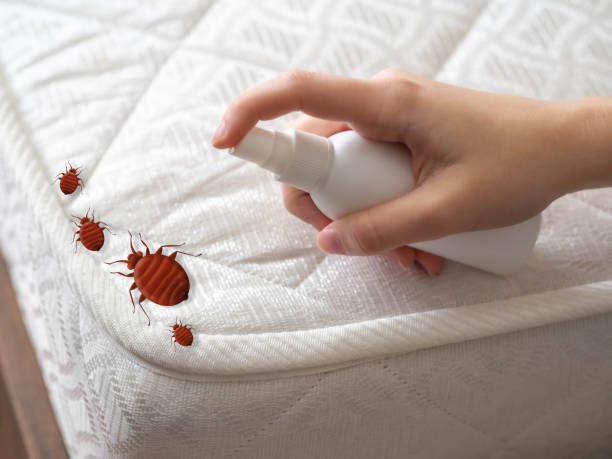 Best Commercial Pest Control Services  in Rosebud, SD